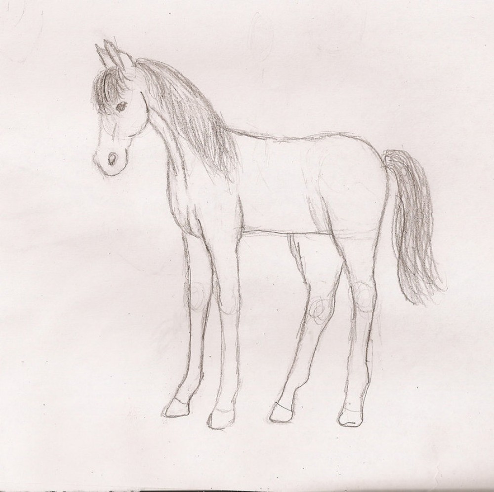 Yearling