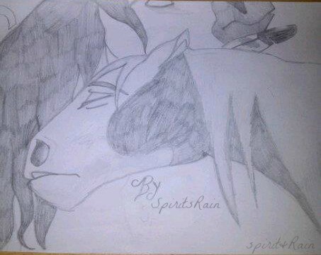 spirit Comforts Rain