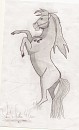 Bullet(SpiritStallion4Ever) rearing