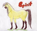 Spirit