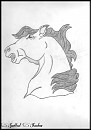 .:Esperanza (No Colour):.