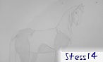 Stess14