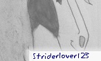 Striderlover123