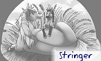 stringer