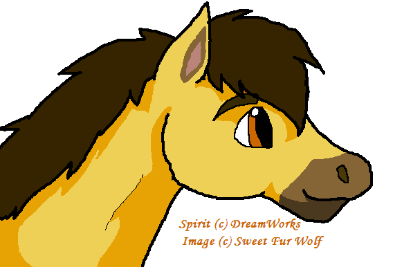 Young Spirit