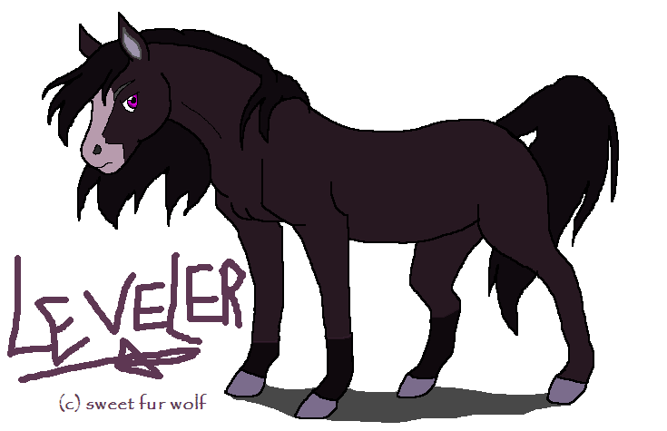 Leveler