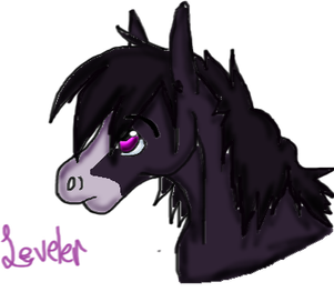 Younger Leveler ^^