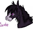 Younger Leveler ^^