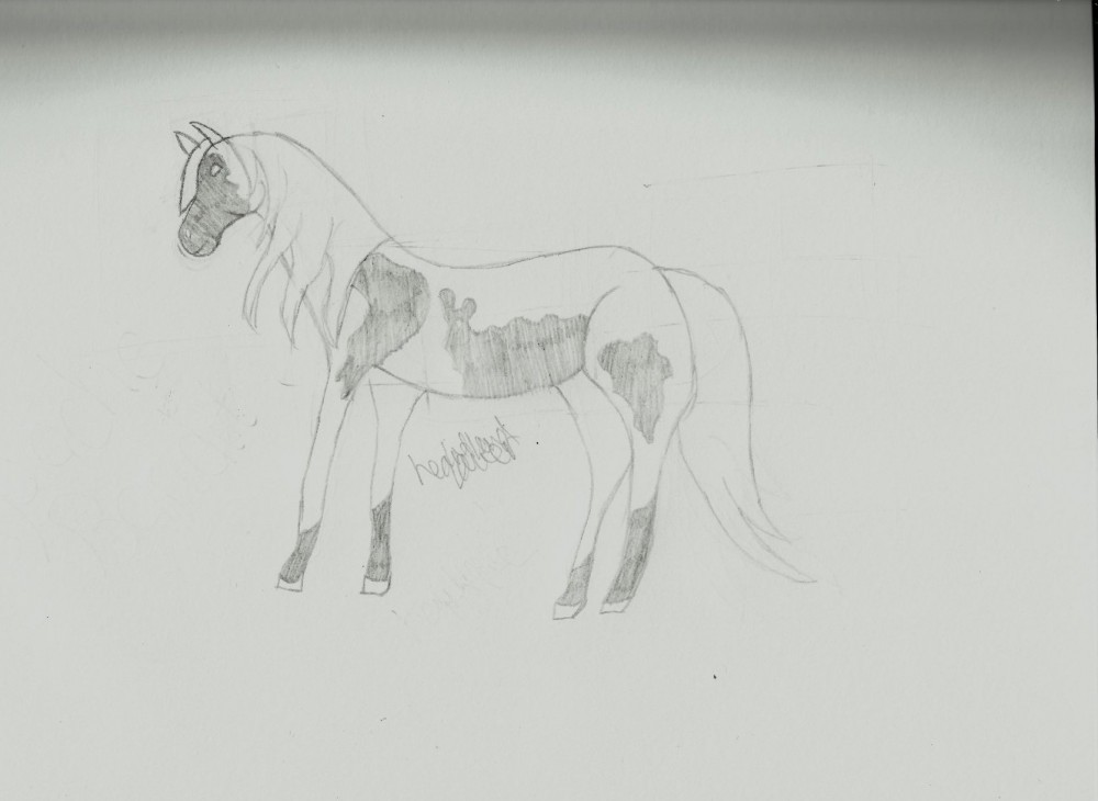 Apache Bandit Drawing 
