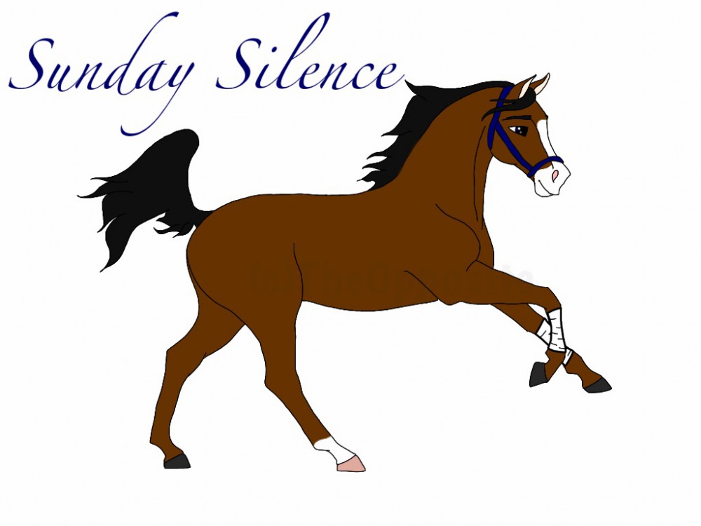 Sunday Silence for Jetta