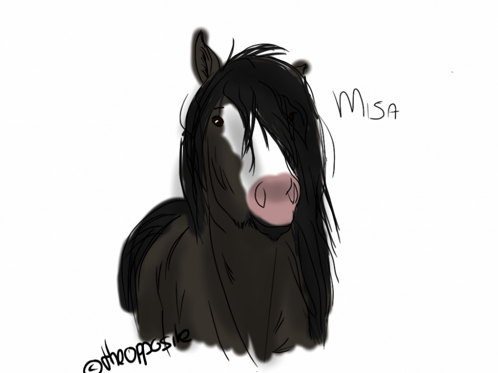 Pony Misa