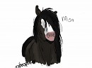 Pony Misa