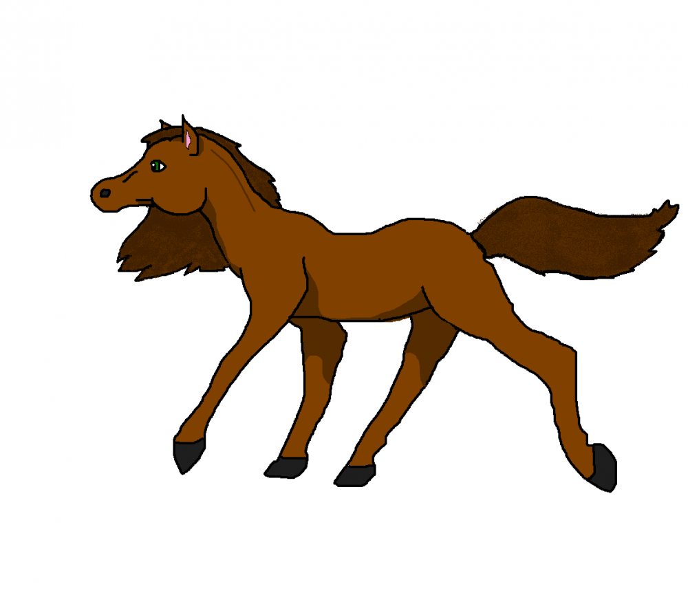 Nutmeg
