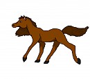 Nutmeg