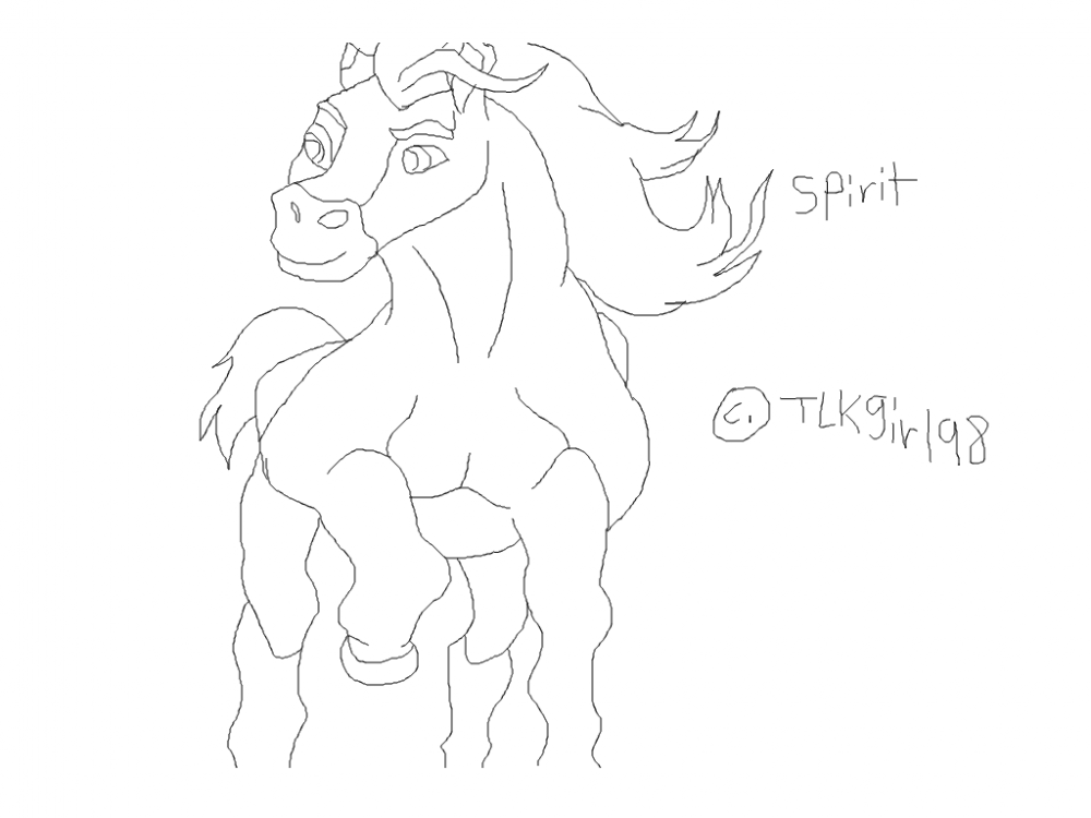 spirit front view