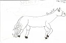 Spirit