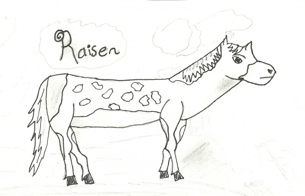 Raisen