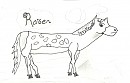 Raisen