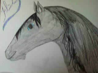 Flicka! :)