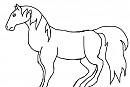 Majestic Stallion Lineart
