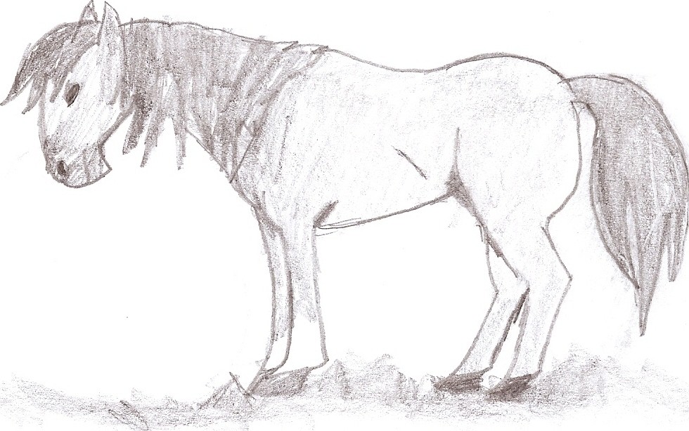 Spirit