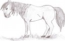 Spirit