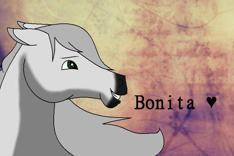 Bonita fanart