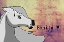 Bonita fanart