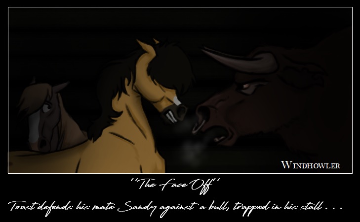 The Face Off