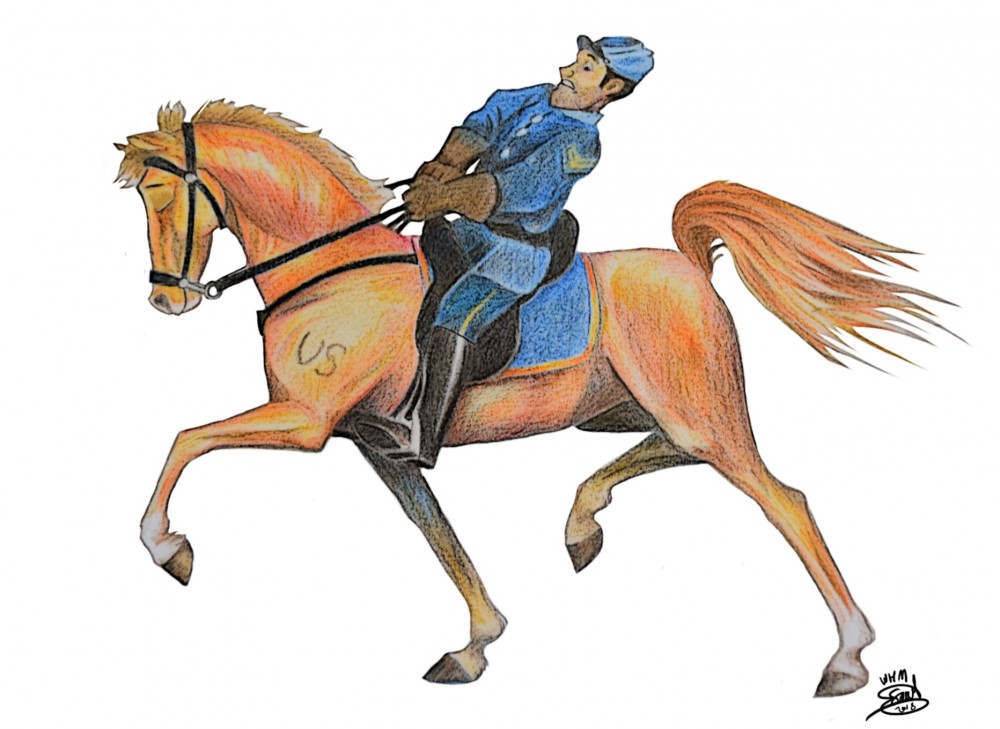 Like a Saddlebred Does