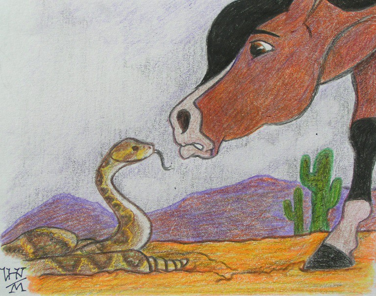 Lonan Meets Rattler