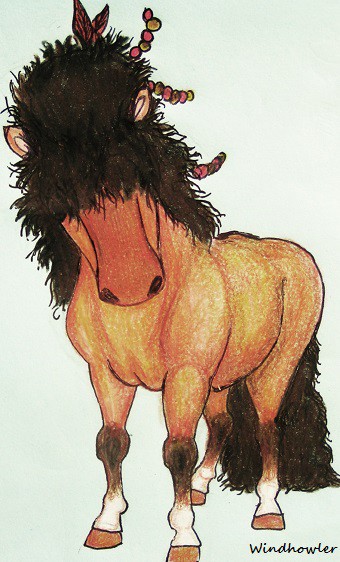 Lemenet ... as a Shetland!