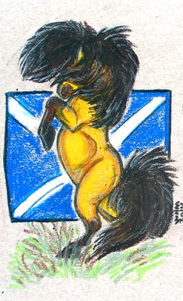 Spirit: Stallion of the Shetland Isles