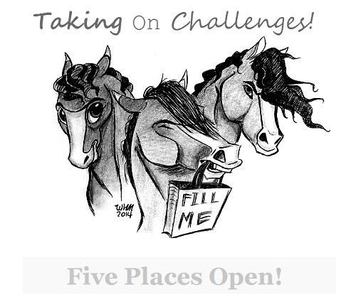 Fill the Challenge Bag