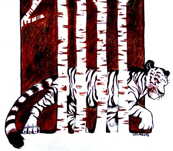 StriderLover's Challenge: Daniel as a Tiger