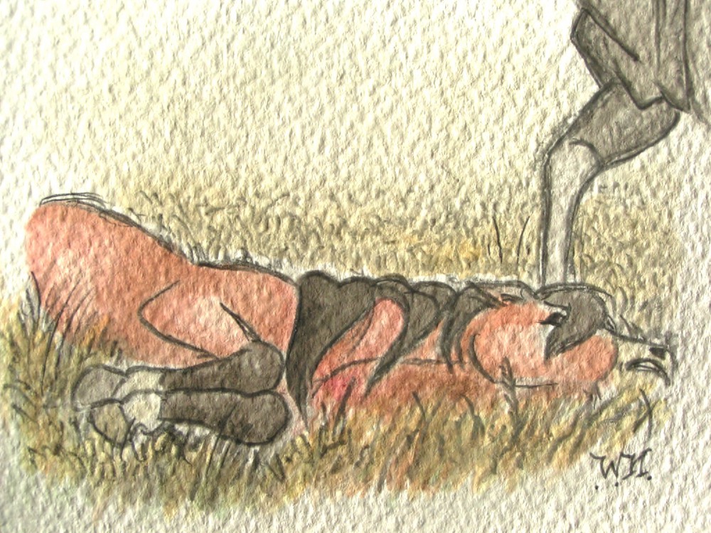 ''Get up, lazy'' - Another old pic
