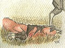 ''Get up, lazy'' - Another old pic