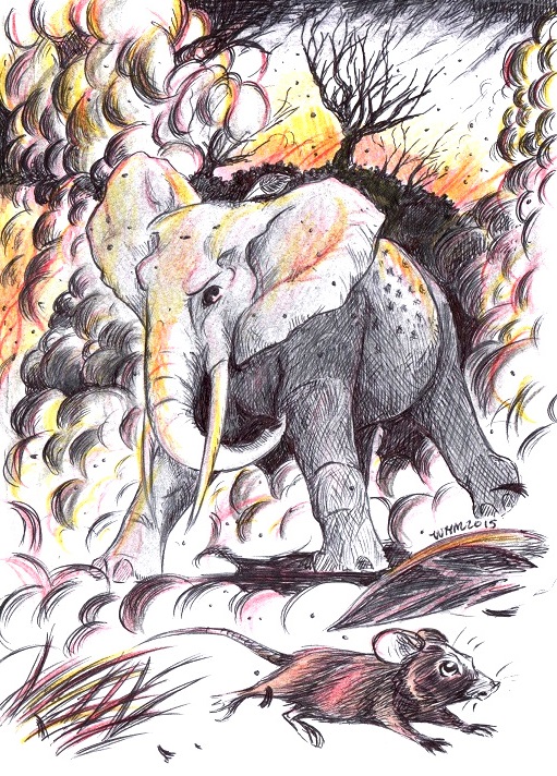 TheBandOf3Foals' Challenge: Elephant and Mouse