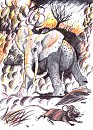 TheBandOf3Foals' Challenge: Elephant and Mouse
