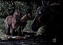 Stallion in the Shadows