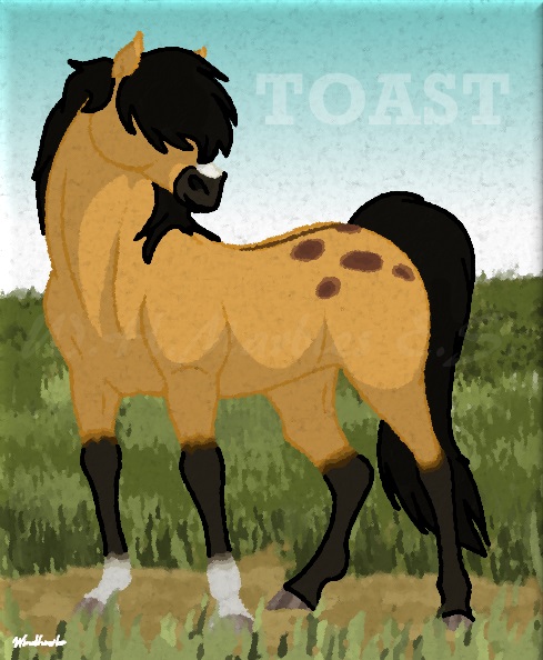 Toast