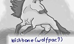 Wishbone (wolfpac9)