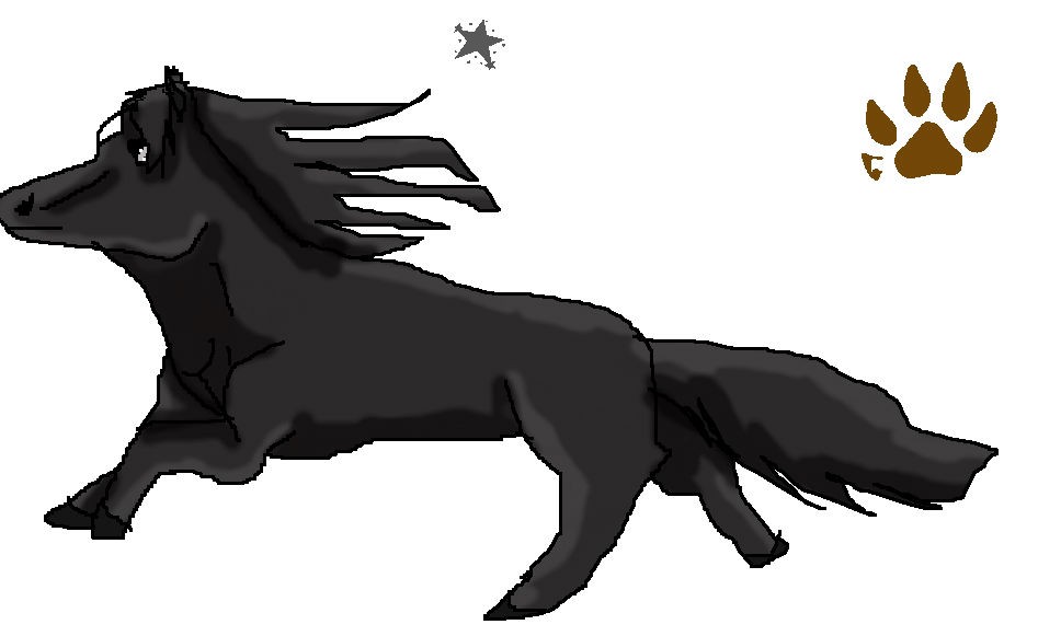 Midnightspark
