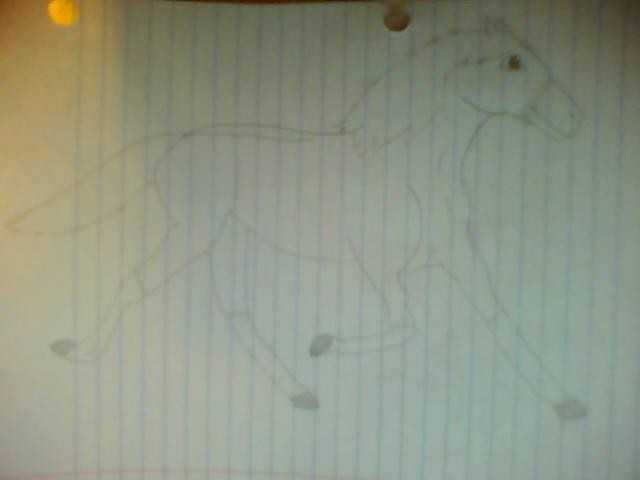 A crappy running horse drawing