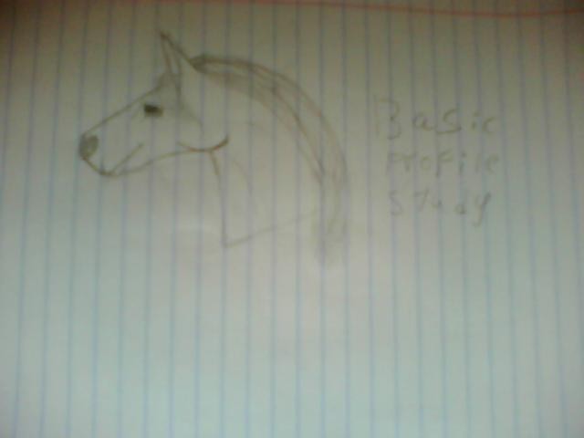 Basic profile study