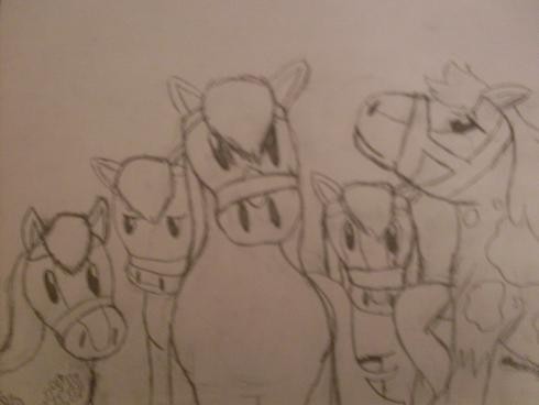 My herd 