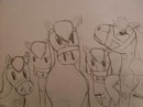 My herd 