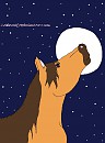 Looking At The Stars