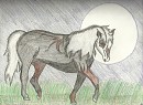 Moon Trot