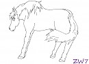 Disturbed Stallion Lines